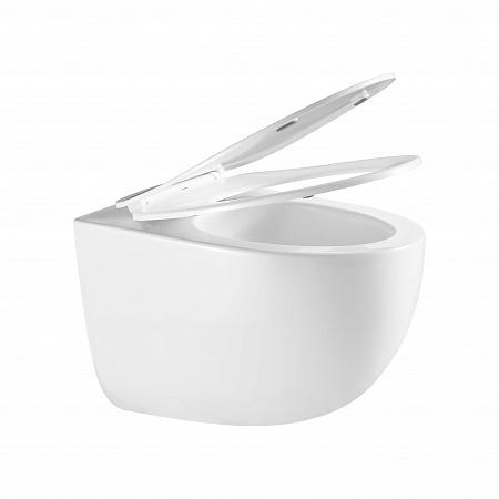 Подвесной унитаз безободковый Terminus Енисей Монолит 560х390 белый Псков - фото 7 Подвесной унитаз безободковый Terminus Енисей Монолит 560х390 белый Псков - фото 7