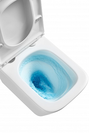 Подвесной унитаз безободковый Terminus Ватикан Монолит 490х340 белый Псков - фото 8