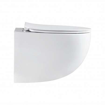 Подвесной унитаз безободковый Terminus Енисей Монолит 560х390 белый Псков - фото 4 Подвесной унитаз безободковый Terminus Енисей Монолит 560х390 белый Псков - фото 4