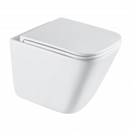 Подвесной унитаз безободковый Terminus Ватикан Монолит 490х340 белый Псков - фото 2