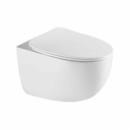 Подвесной унитаз безободковый Terminus Енисей Монолит 560х390 белый Псков - фото 2 Подвесной унитаз безободковый Terminus Енисей Монолит 560х390 белый Псков - фото 2