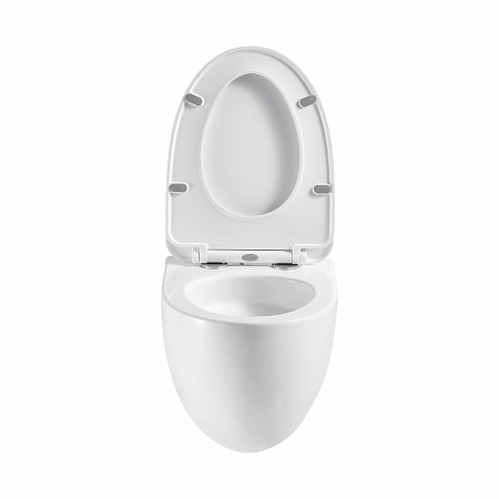 Подвесной унитаз безободковый Terminus Енисей Монолит 560х390 белый Псков - фото 5 Подвесной унитаз безободковый Terminus Енисей Монолит 560х390 белый Псков - фото 5