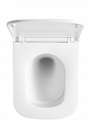 Подвесной унитаз безободковый Terminus Ватикан Монолит 490х340 белый Псков - фото 3